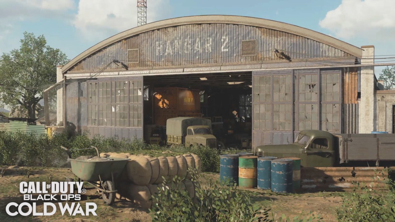 call of duty Black Ops Cold War cartel bush glitch