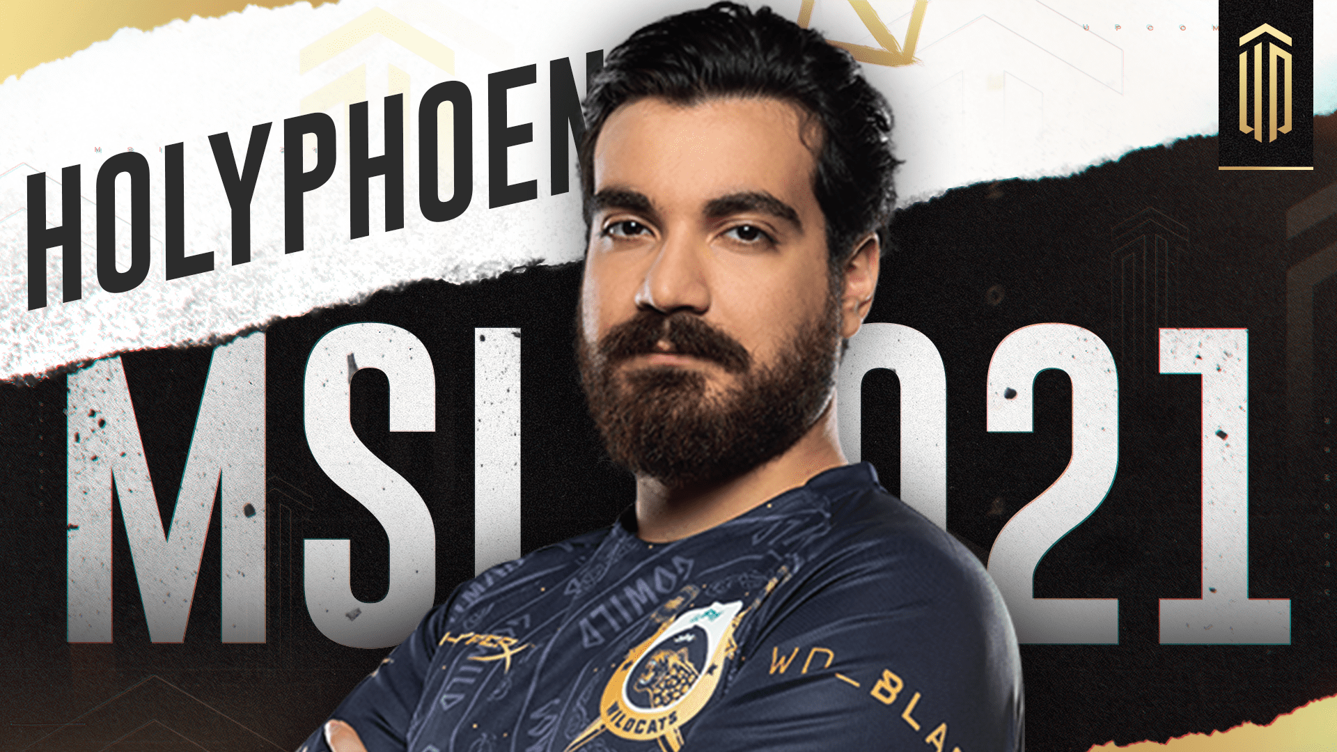 HolyPhoenix MSI