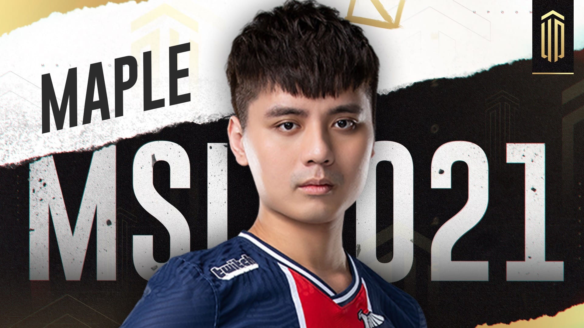 Maple at MSI