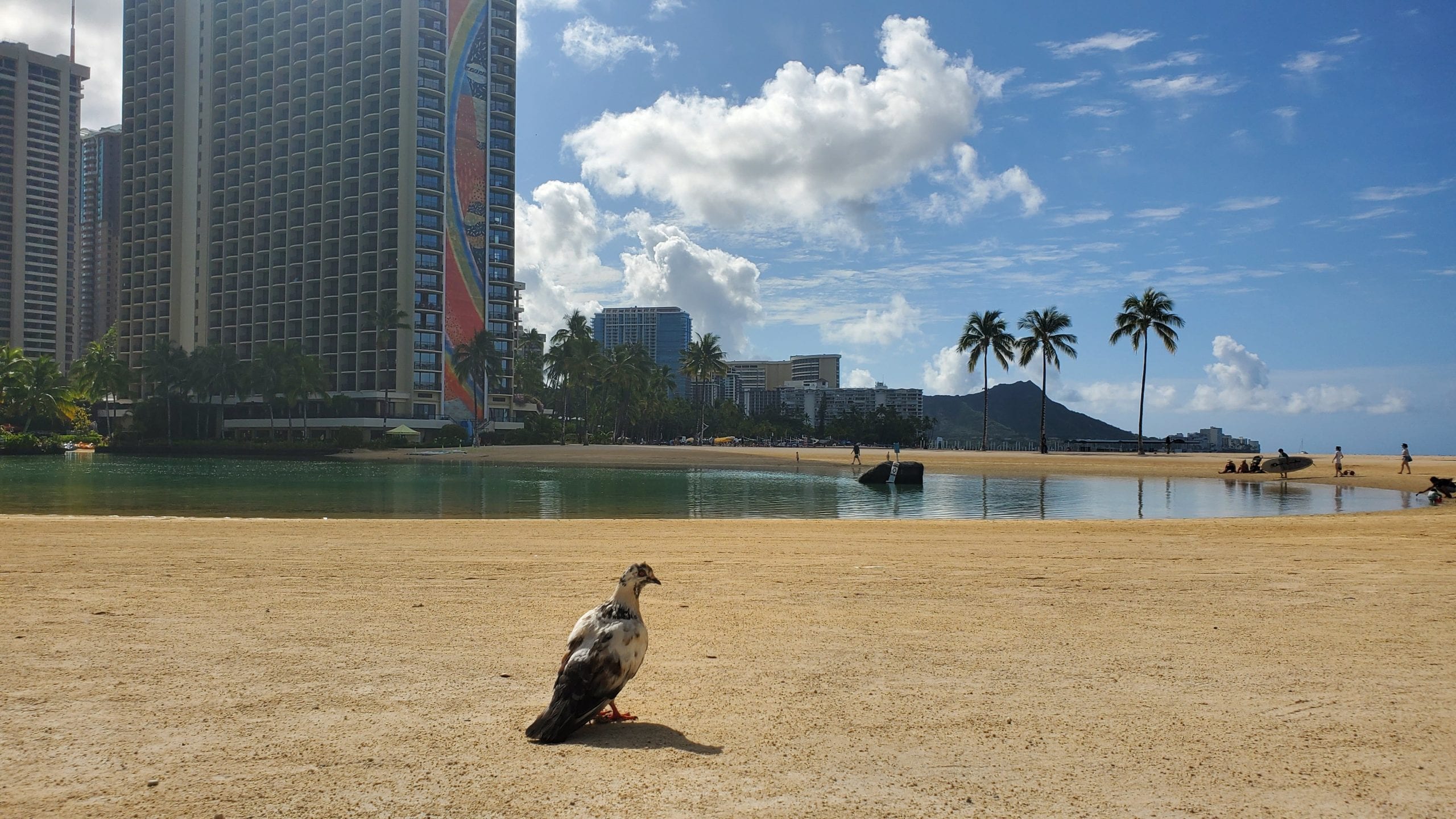 Overwatch League teams arrive in Hawaii