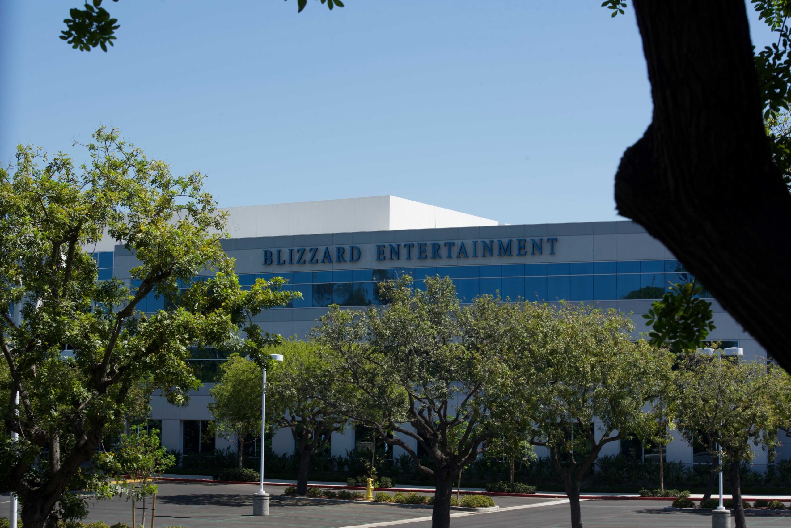 Activision Blizzard Walkout