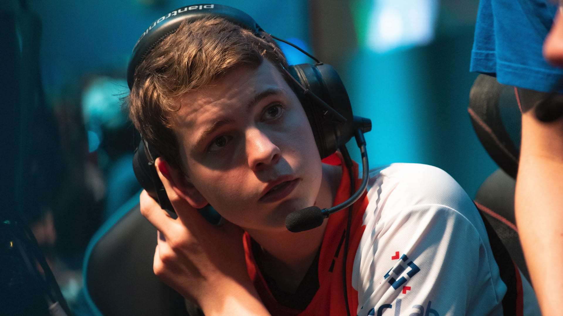 Oaly leaves wolves