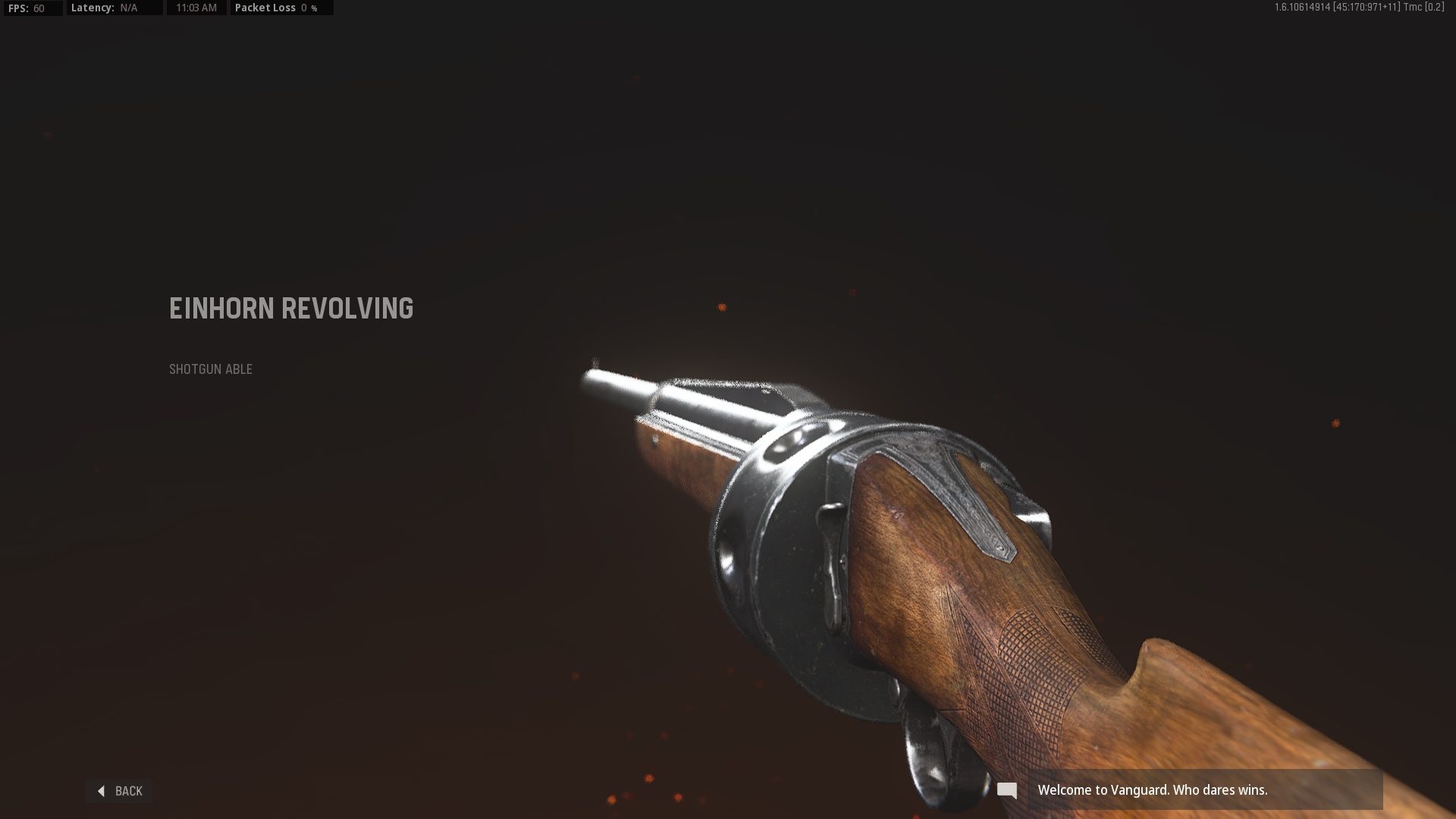 Einhorn revolving shotgun loadout in Vanguard