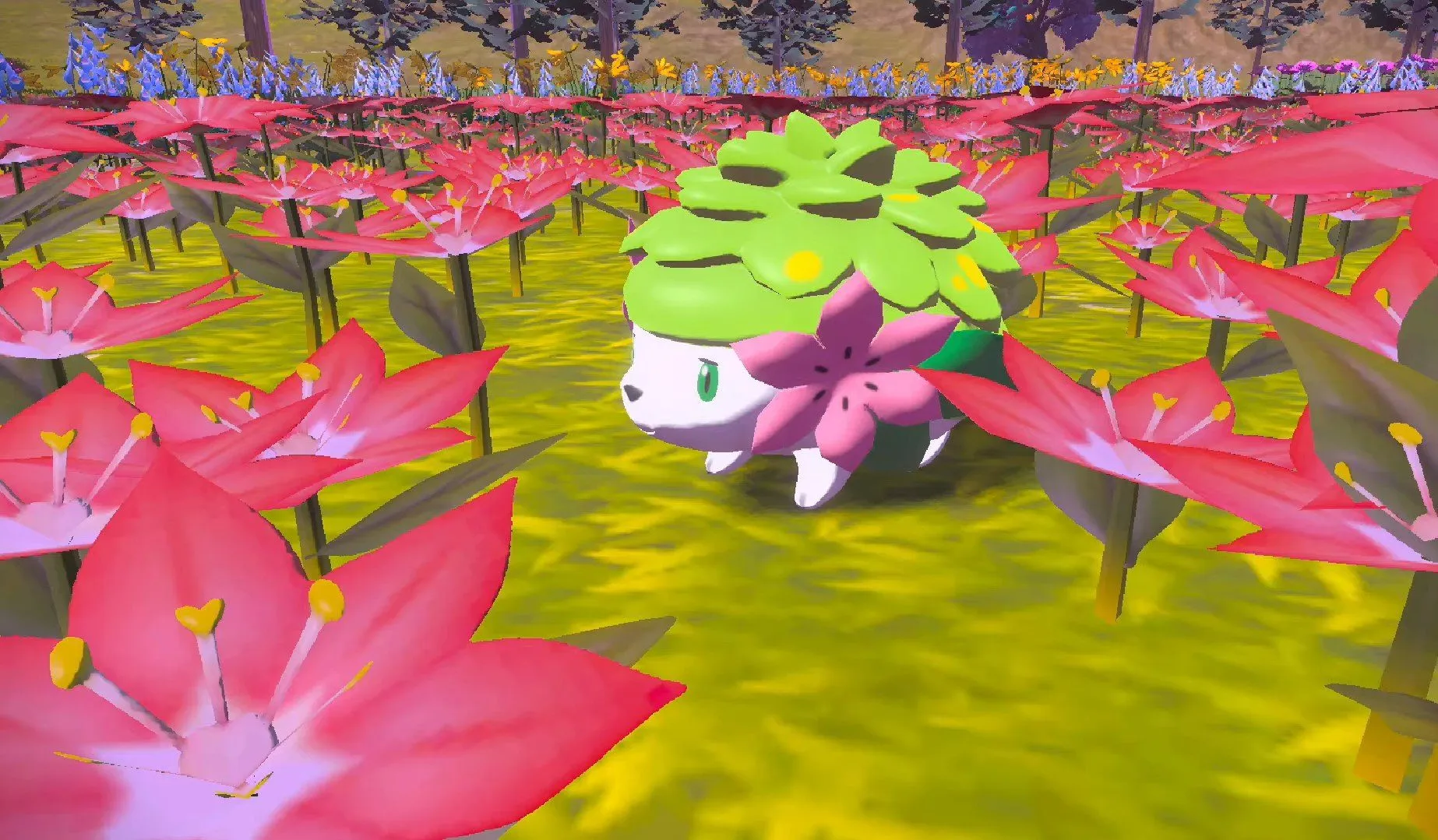Shaymin in Pokémon Legends: Arceus