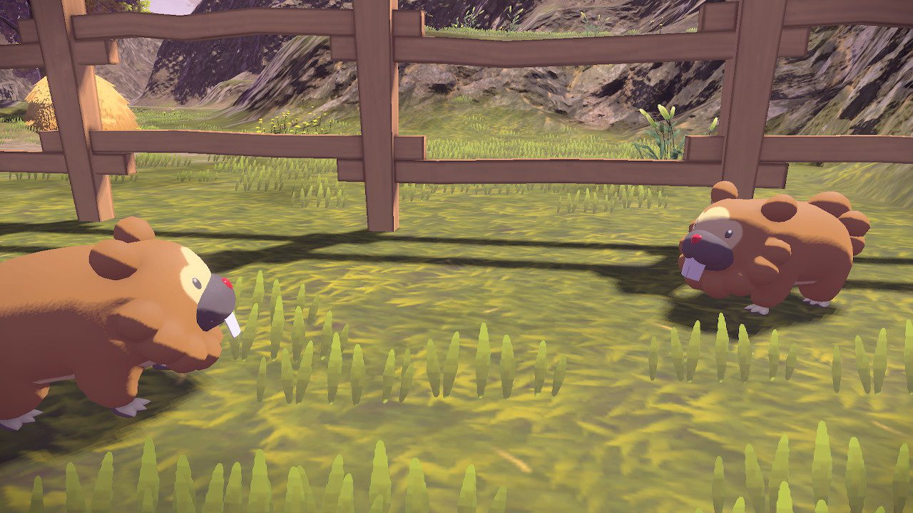 Bothersome Bidoof on the loose