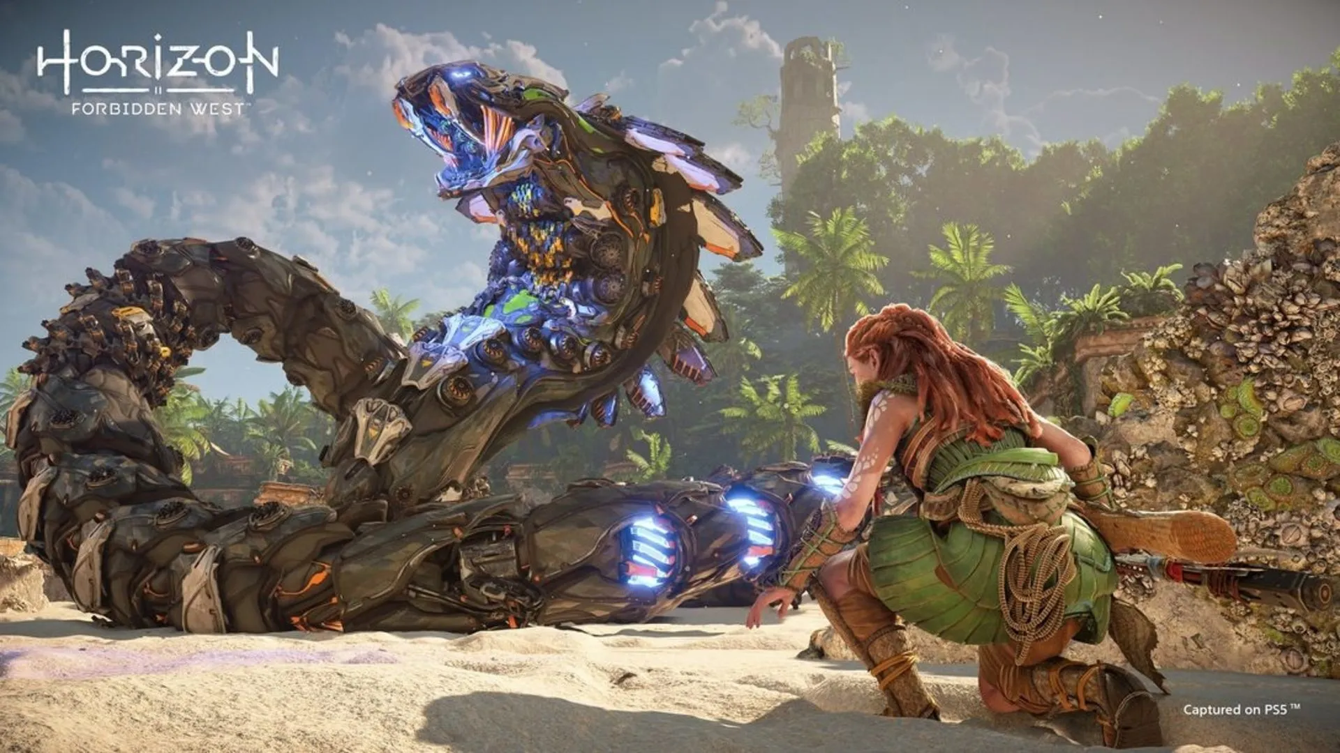 Horizon Forbidden West machines