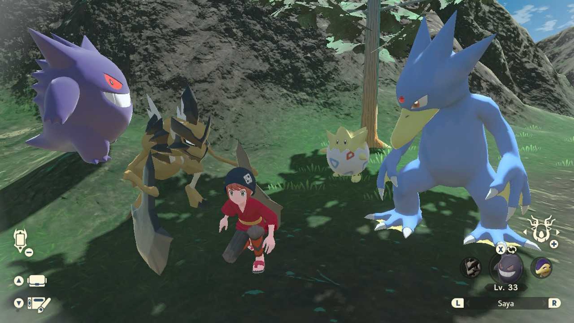 Pokémon Legends: Arceus team