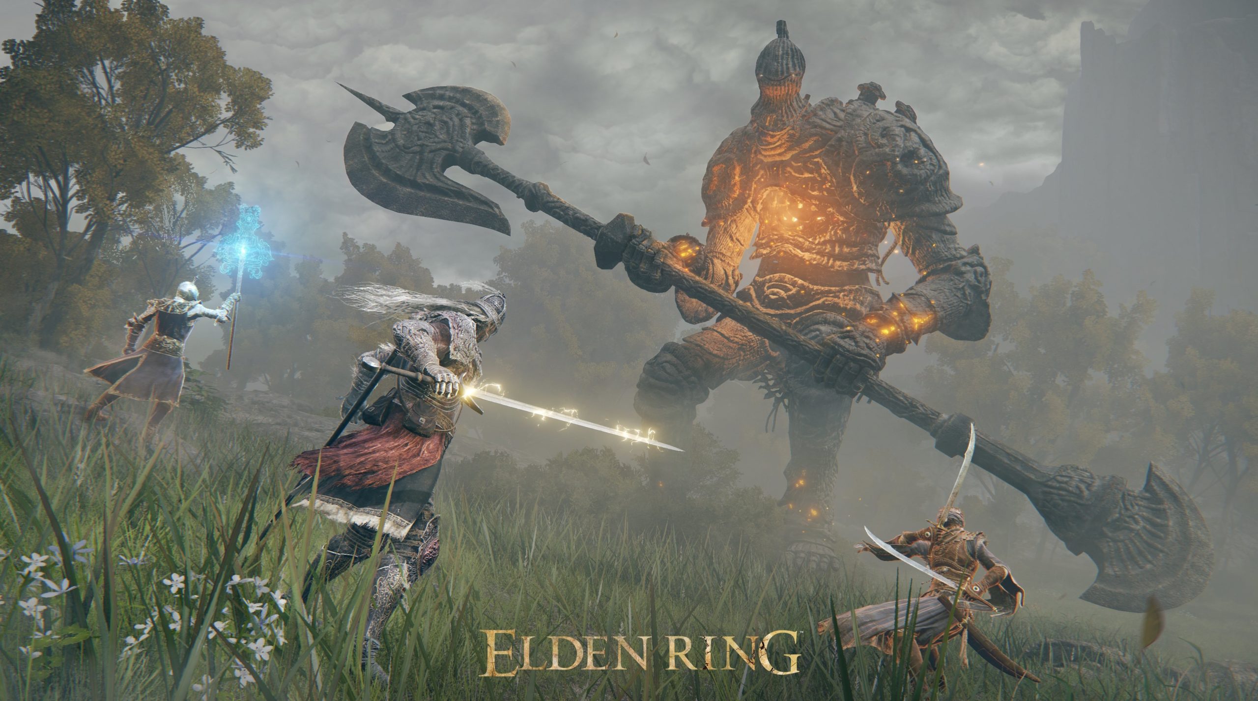 Elden Ring save the game