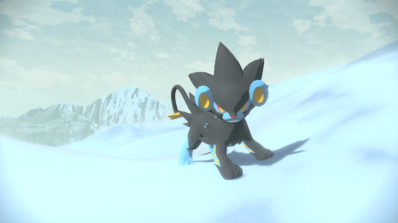 Arceus Tournament