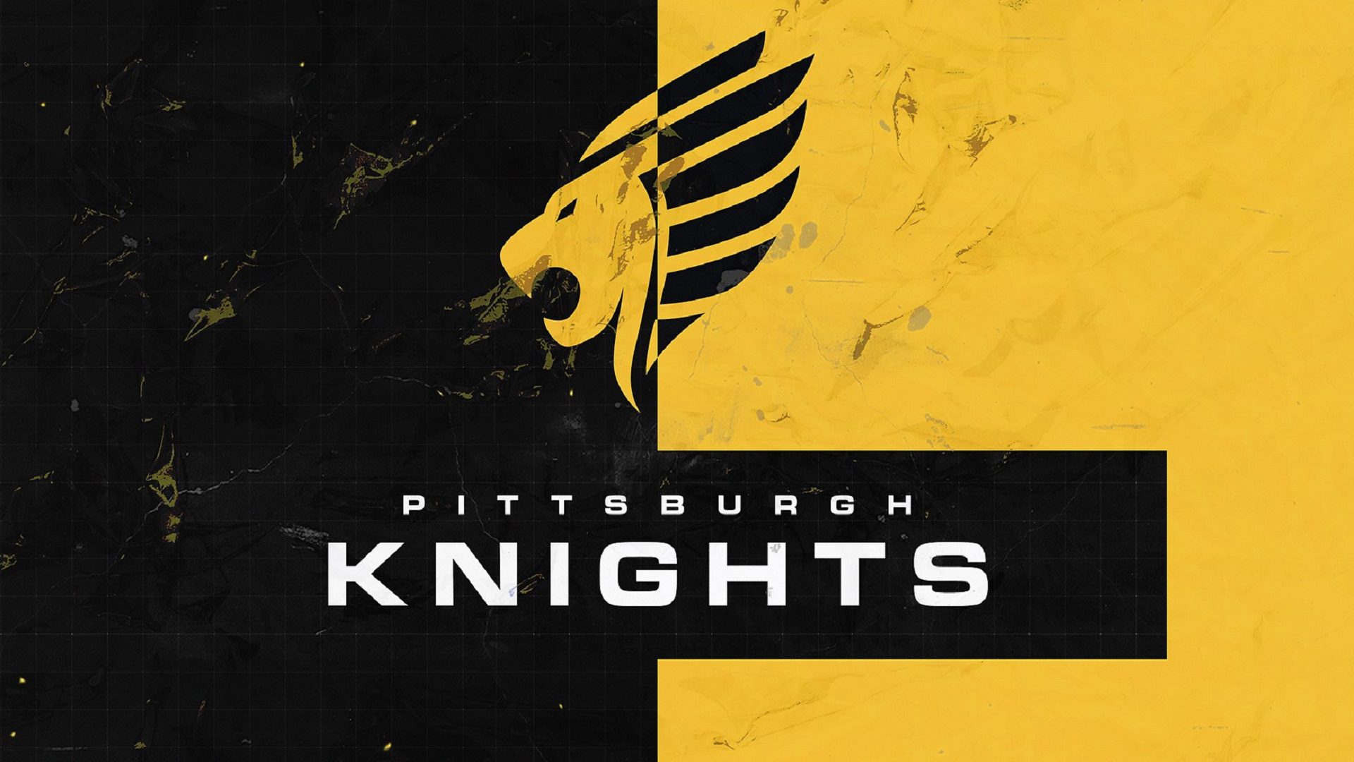 Knights and Evil Geniuses qualify for VCT NA Challengers 1