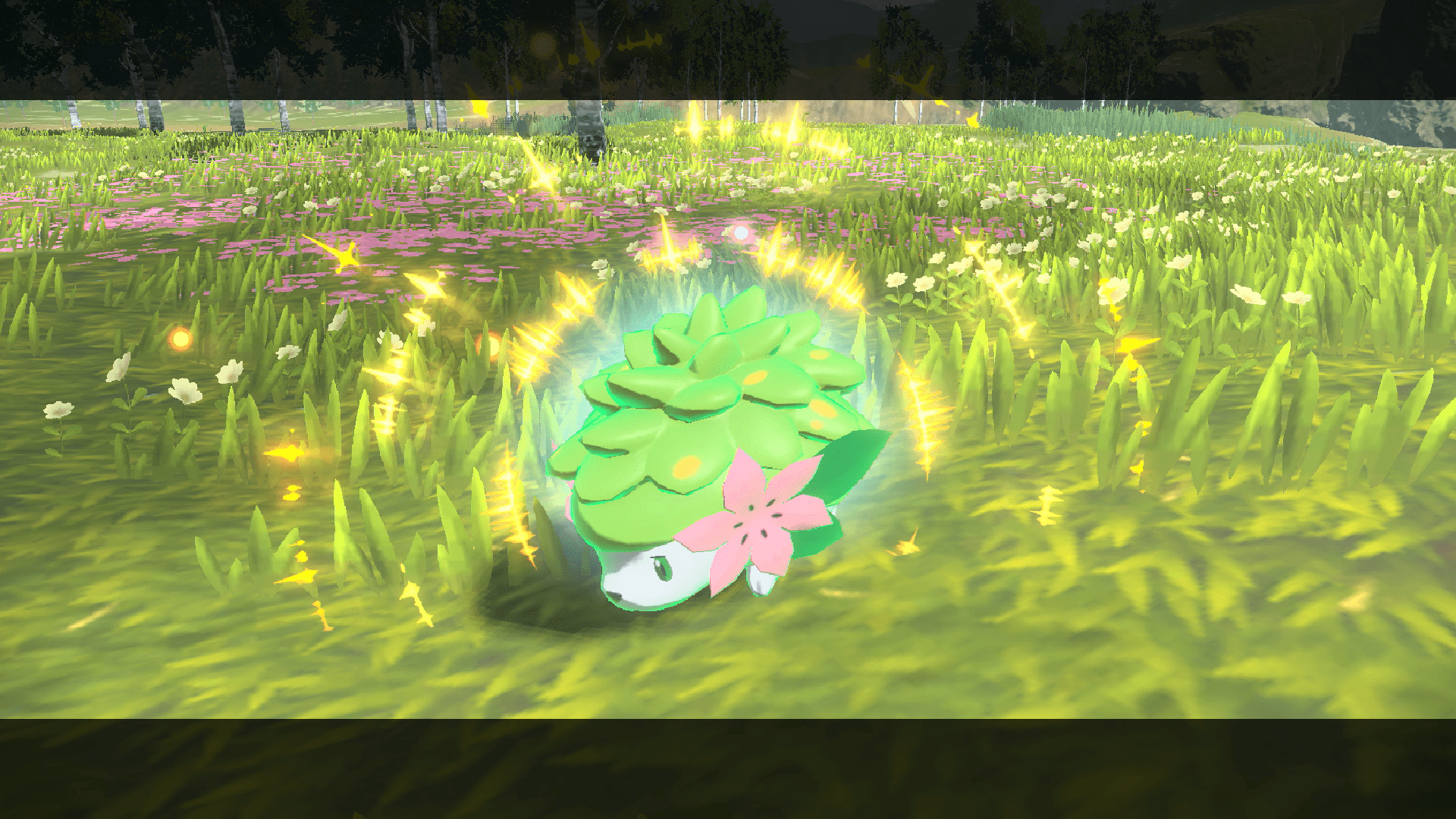 Shaymin in Legends Arceus