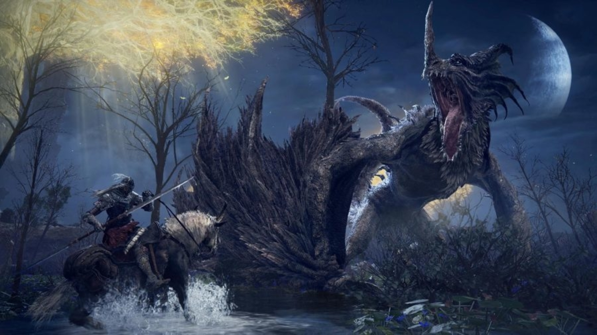 Flying Dragon Agheel Elden Ring