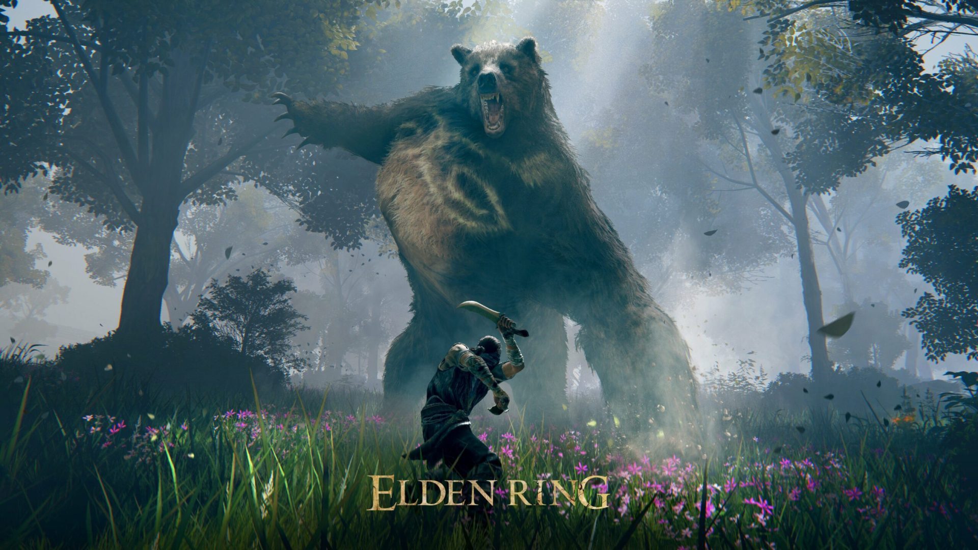 Elden Ring how to install PC mods