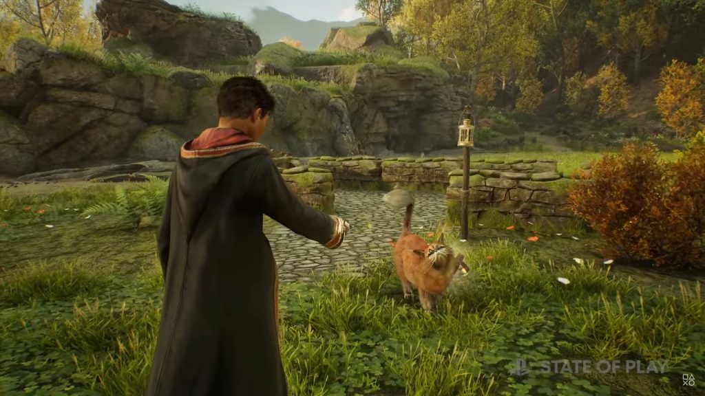 Hogwarts Legacy lets you brush your own kneazle