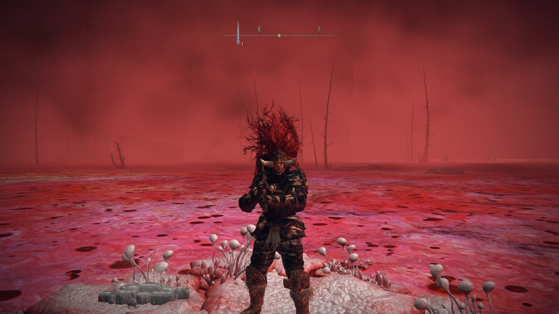 Scarlet Rot resistance Elden Ring