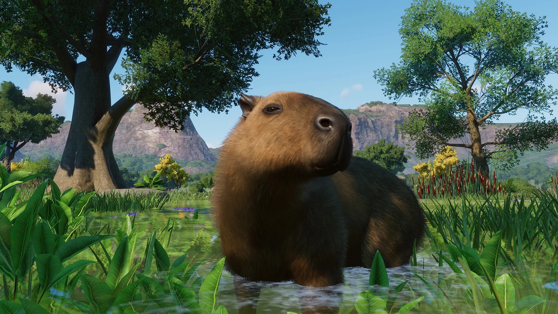 Planet Zoo adds the capybara among others in the Wetlands Animal Pack