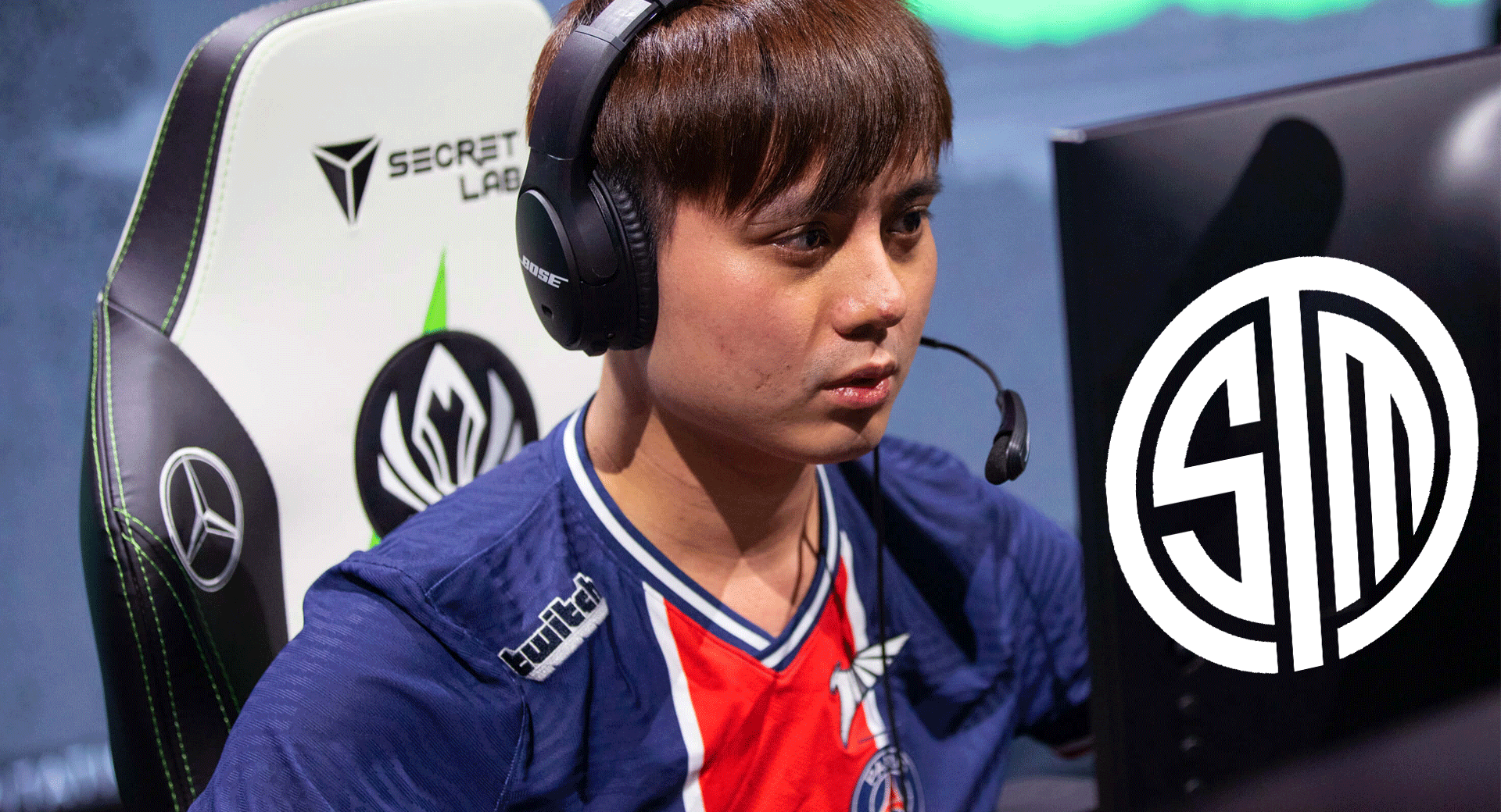 tsm maple