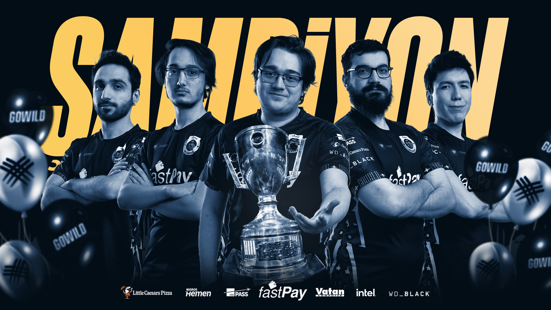 fastPay Wildcats MSI 2022