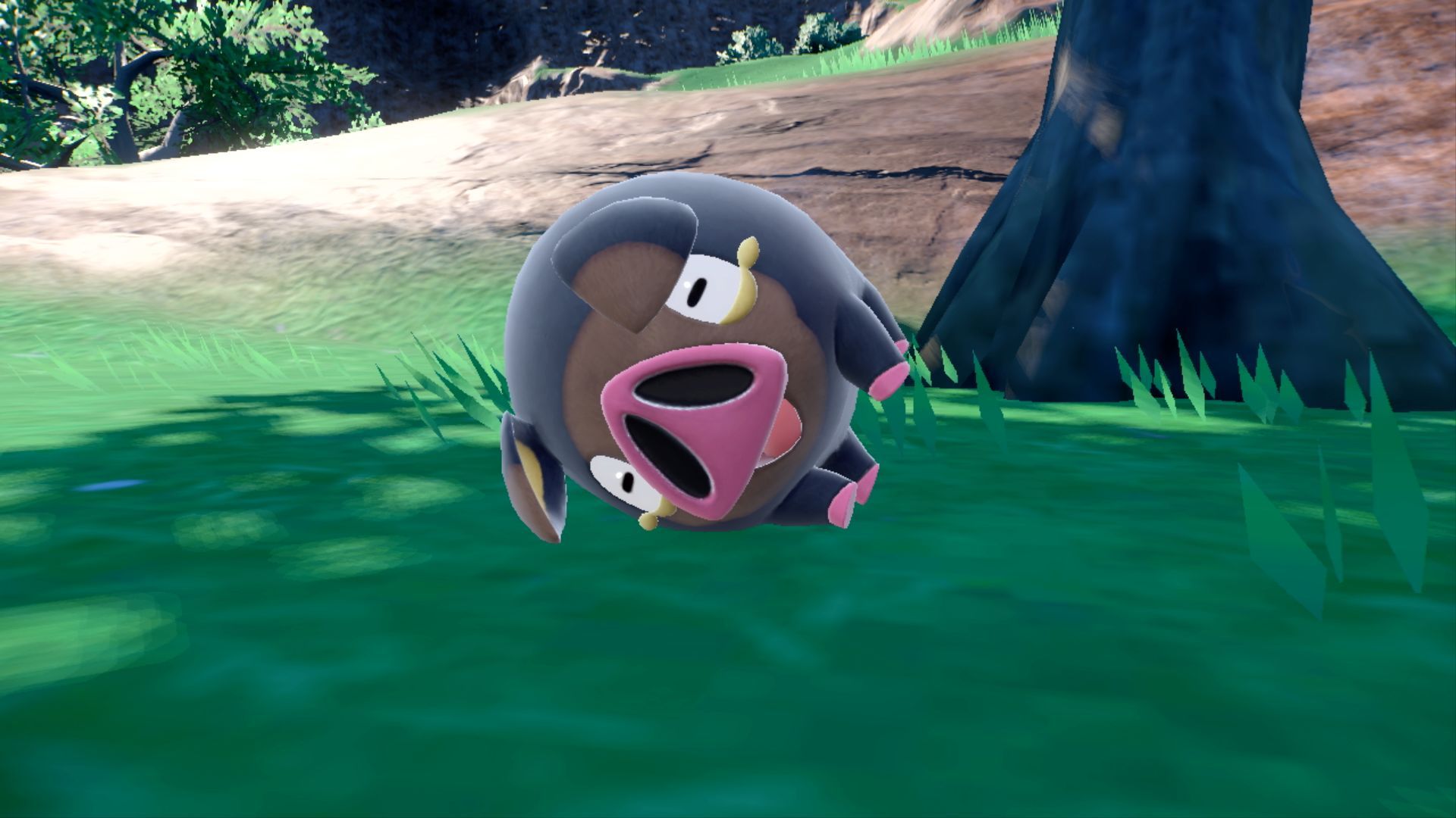LeChonk on the ground