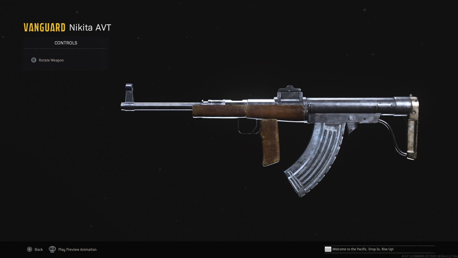 Nikita AVT loadout Warzone