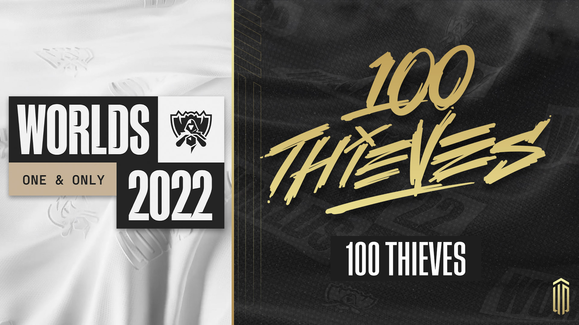 100 Thieves banner
