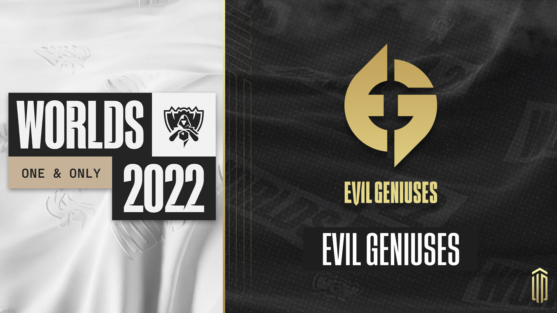 Evil Geniuses banner