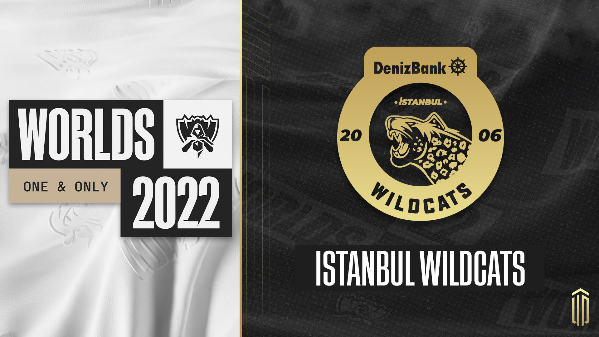 Worlds 2022 League of Legends Istanbul Wildcats TCL Turkey