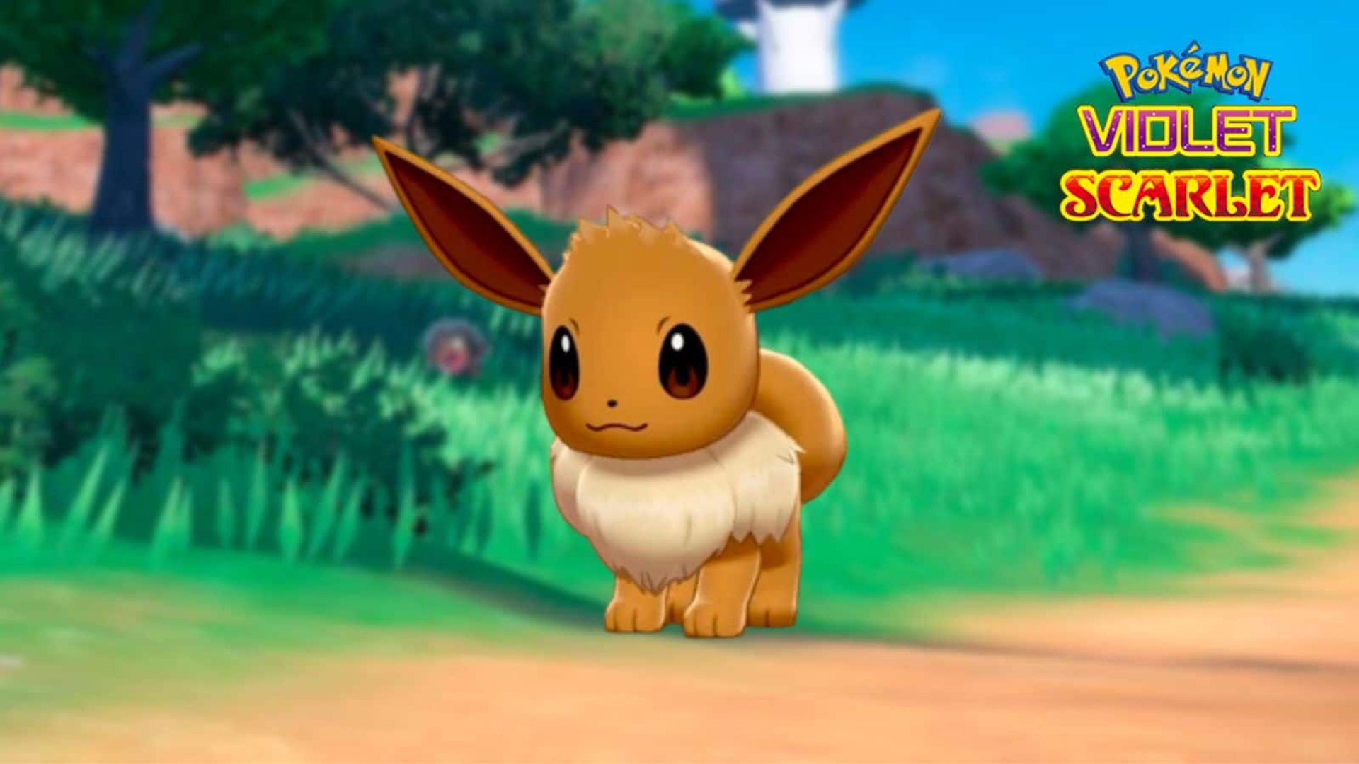 Eevee Pokémon Scarlet Violet