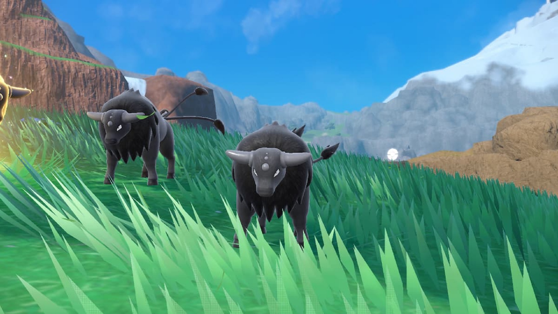 Tauros in Pokémon Scarlet and Violet, which have all three Paldean Tauros forms.