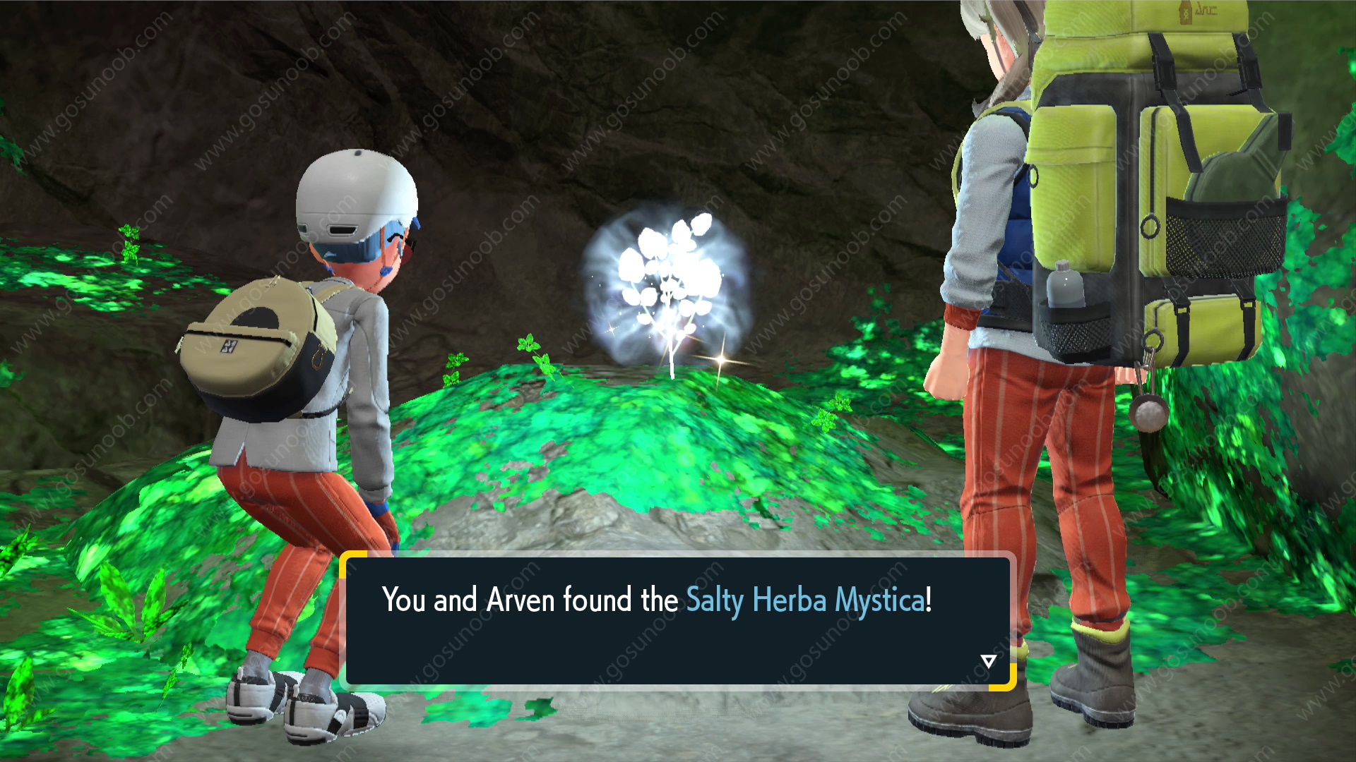 Salty Herba Mystica in Pokémon Scarlet and Violet
