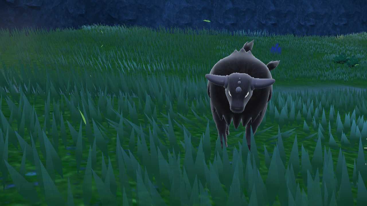 Tauros Pokémon Scarlet Violet
