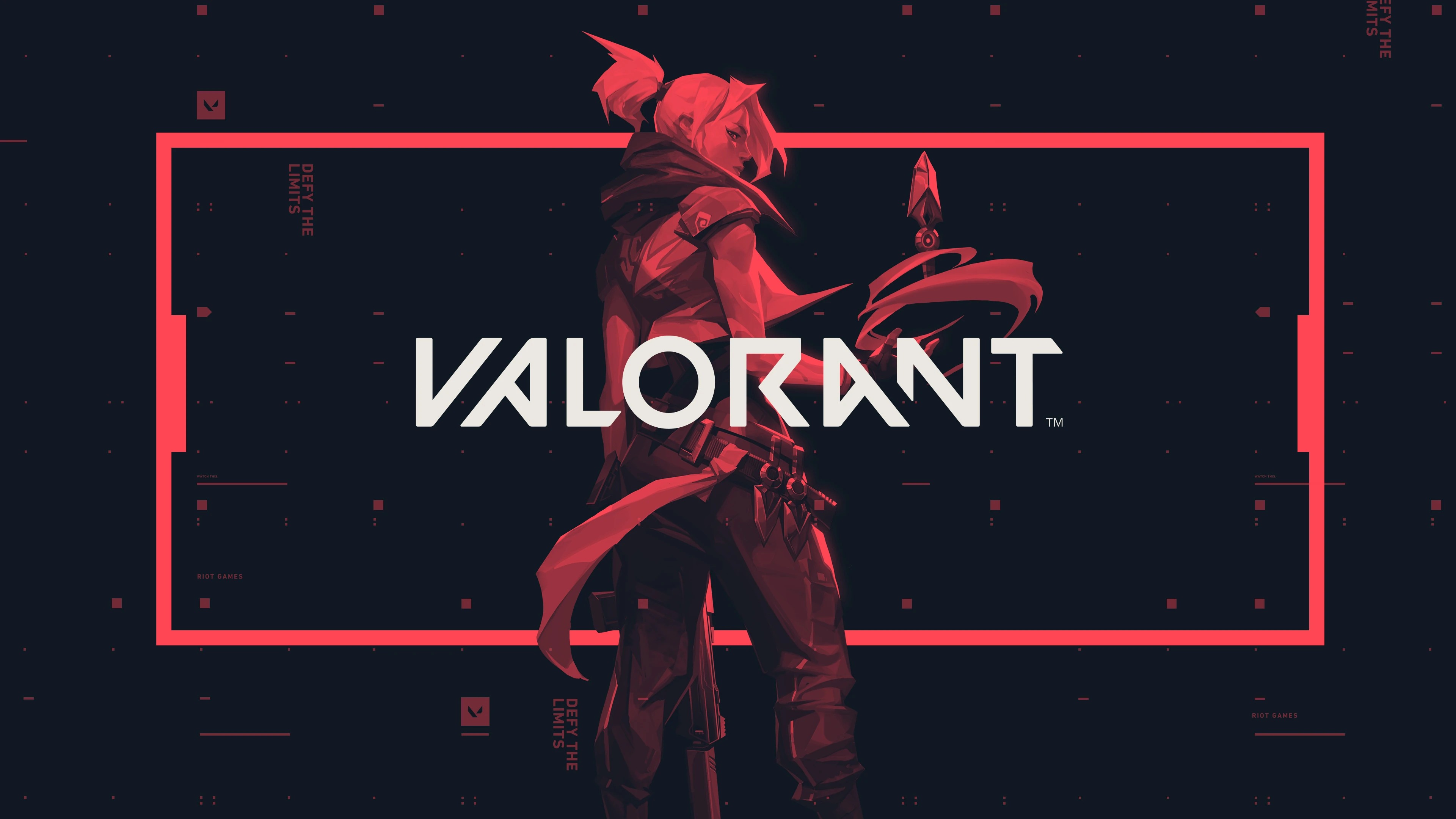 VALORANT Hours