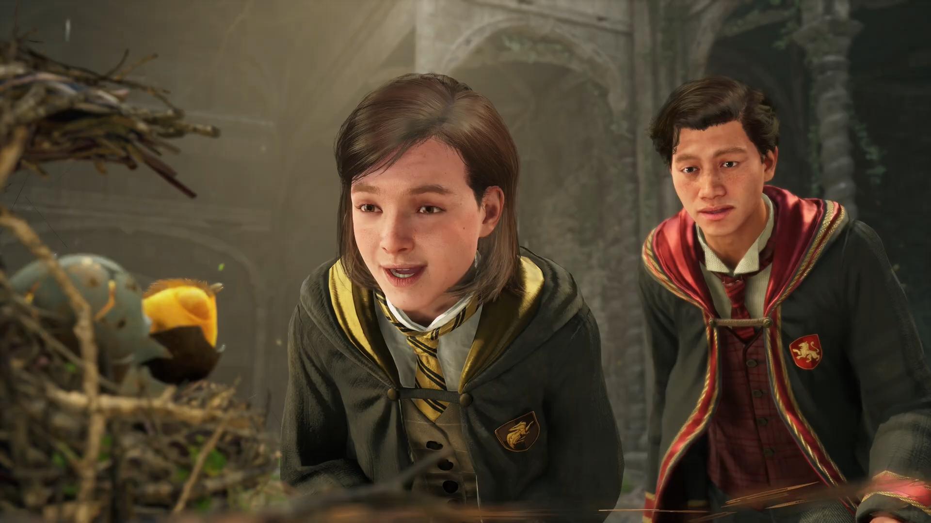 Hogwarts Legacy Co-Op with a friend