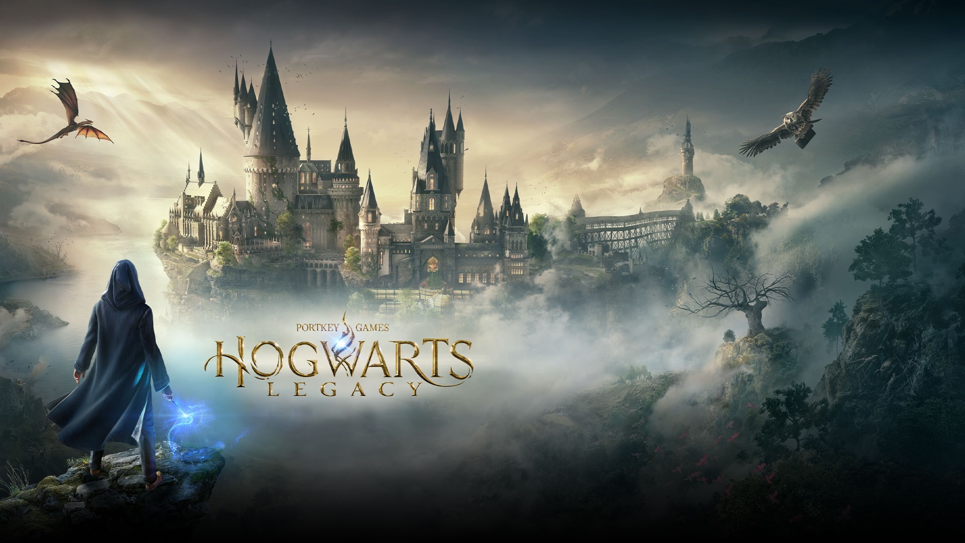 Hogwarts Legacy WB Games account