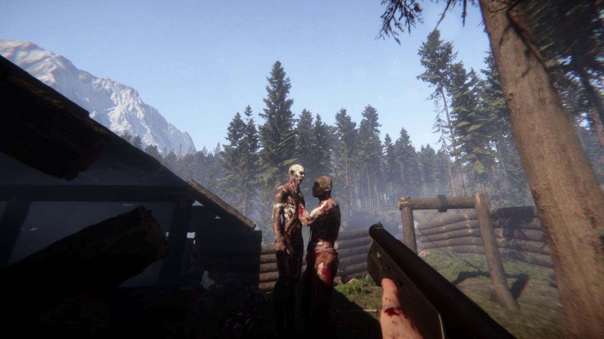 Sons of the Forest skip time in co-op