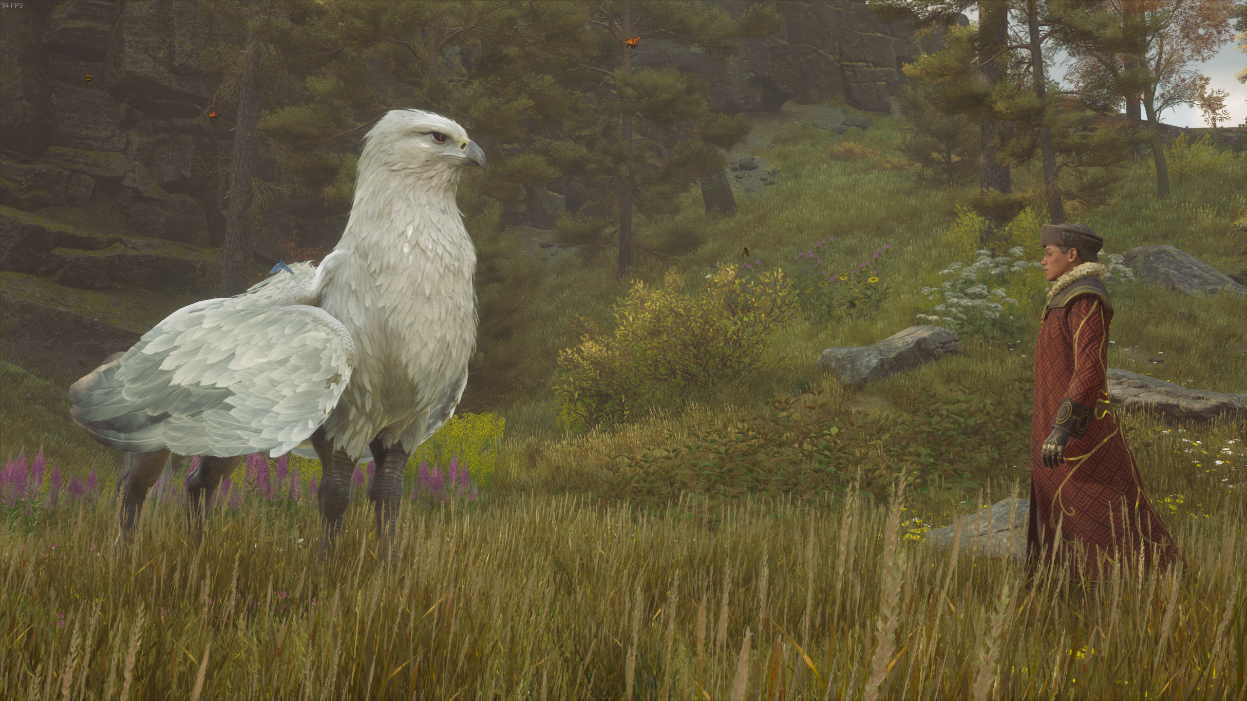 Hogwarts Legacy hippogriff mount