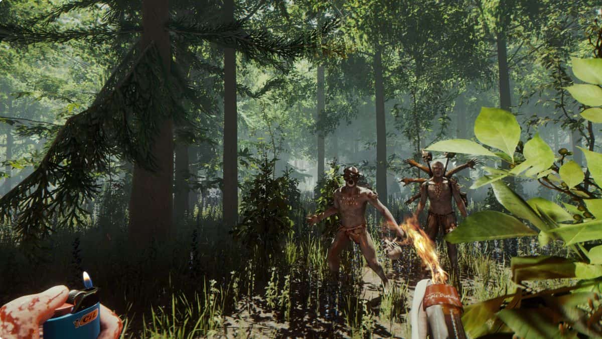 The Forest
