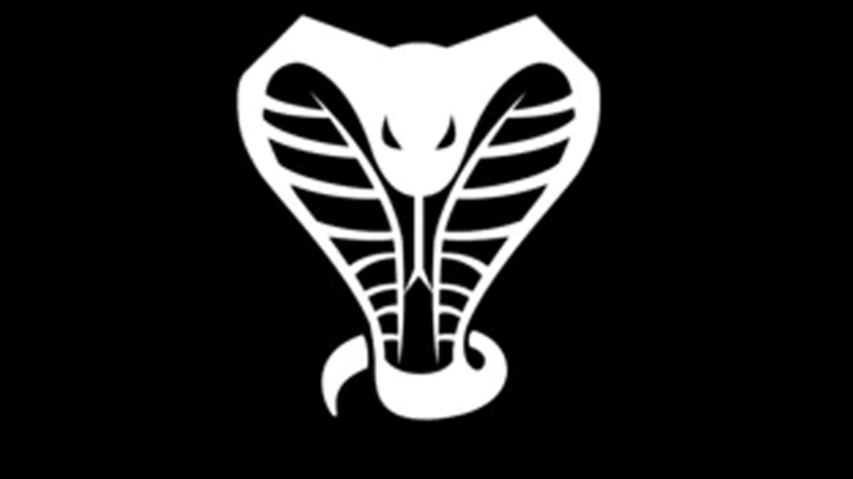 Cobra Banner 