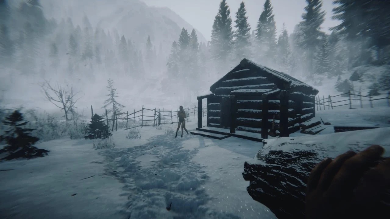Sons of the Forest seasons