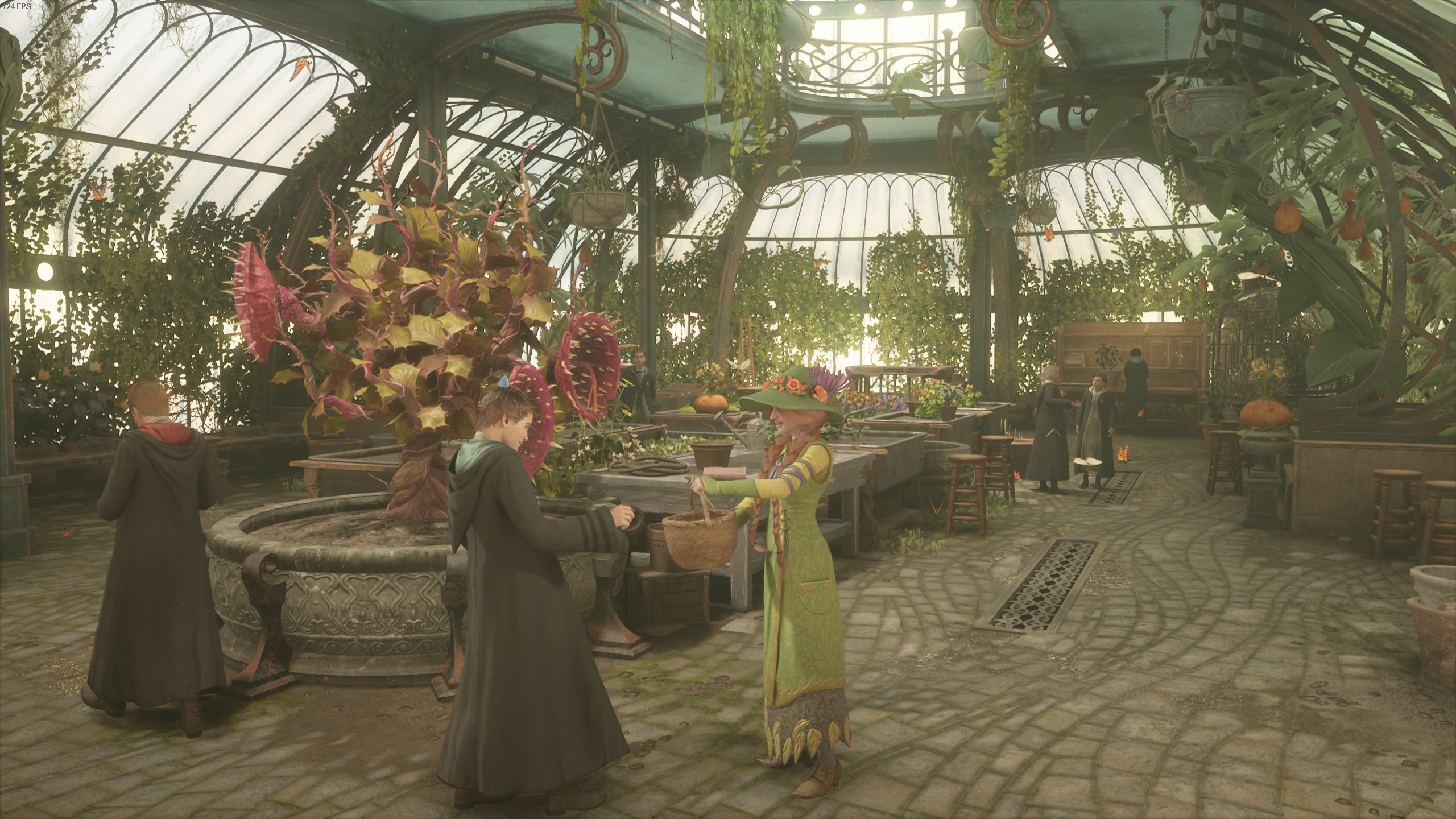 Shrivelfig fruit Hogwarts Legacy