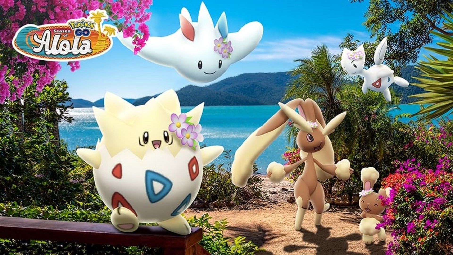 Togepi, Togetic, Togekiss, Buneary and Lopunny wearing flower crowns