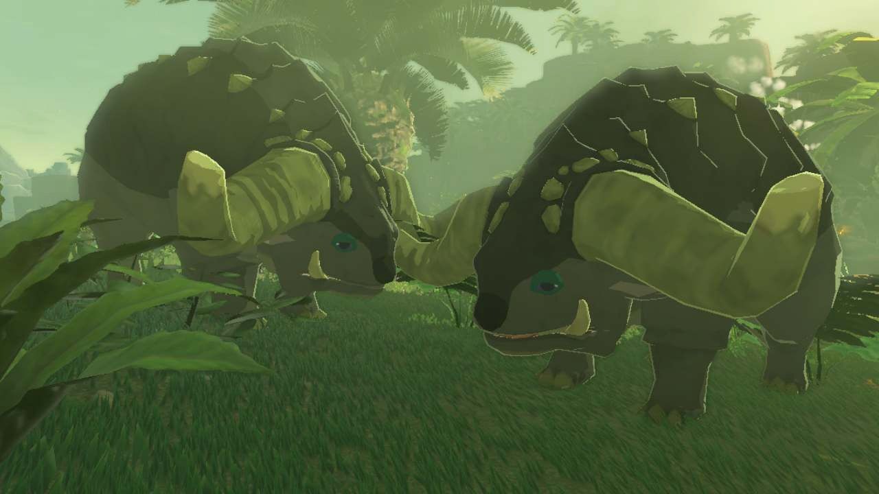 Dondons Zelda: Tears of the Kingdom