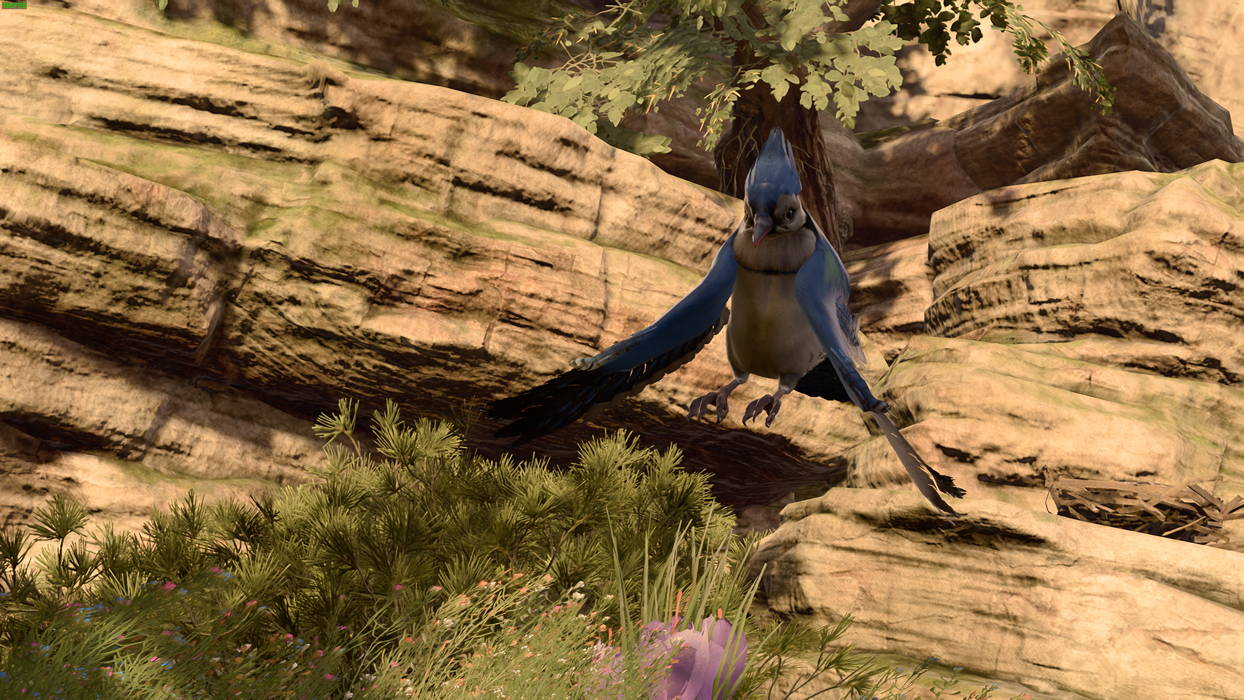 How to get the treasure at the Blue Jays Find in Baldur's Gate 3