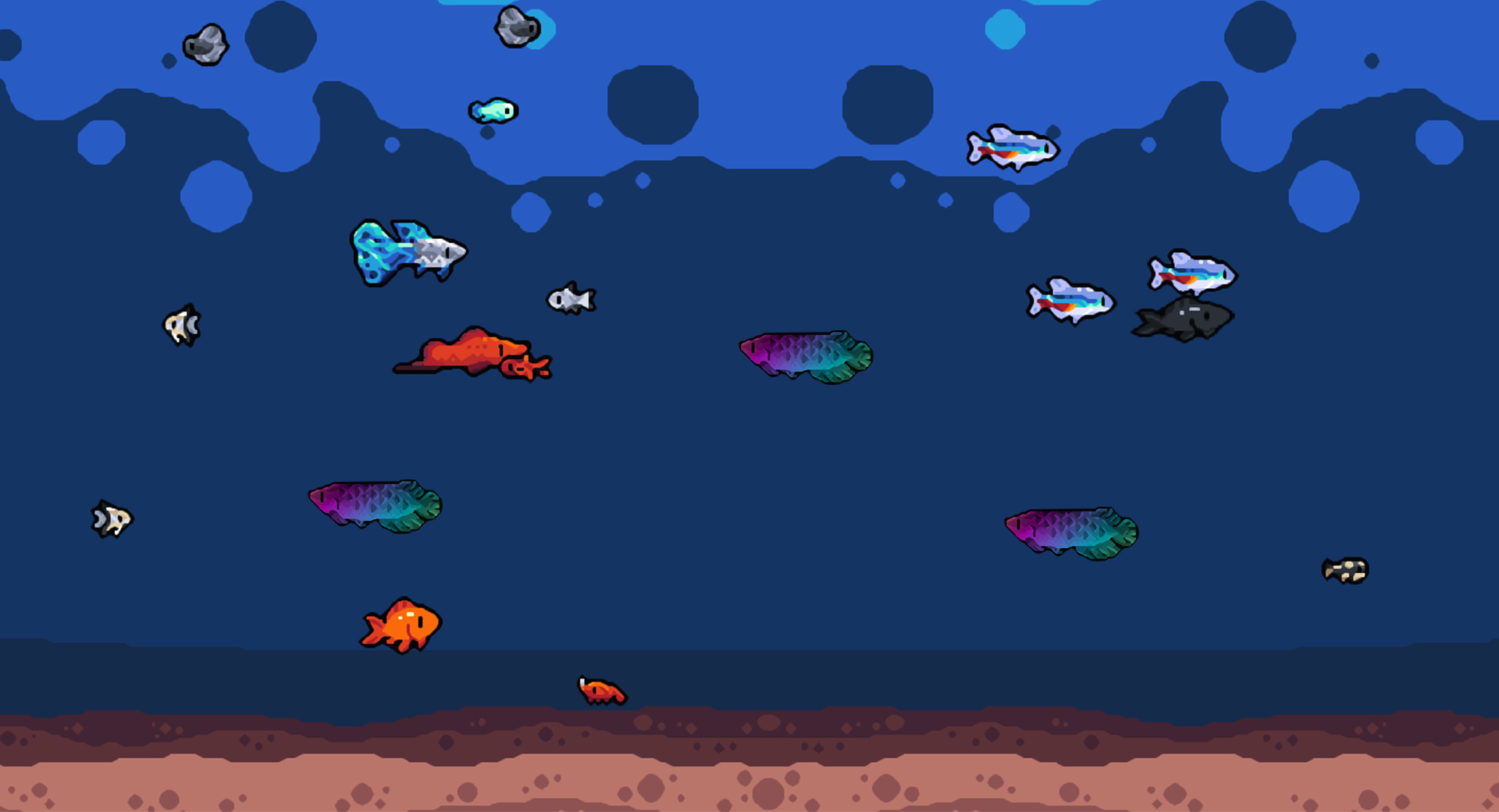 Three rainbow fish floating in a tank with other fish.