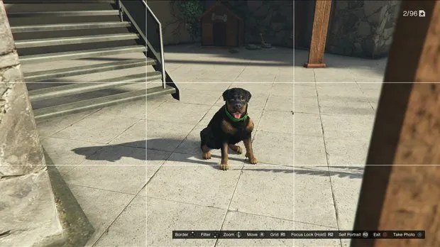 Rottweiler GTA Online