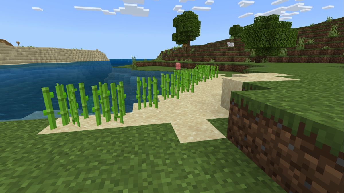 A sugar cane farm in Minecraft.