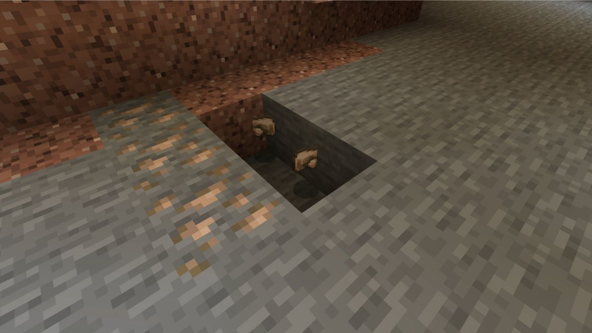 Iron Ore in a Ravine in Minecraft, showing players what it looks like and where to find it in-game.