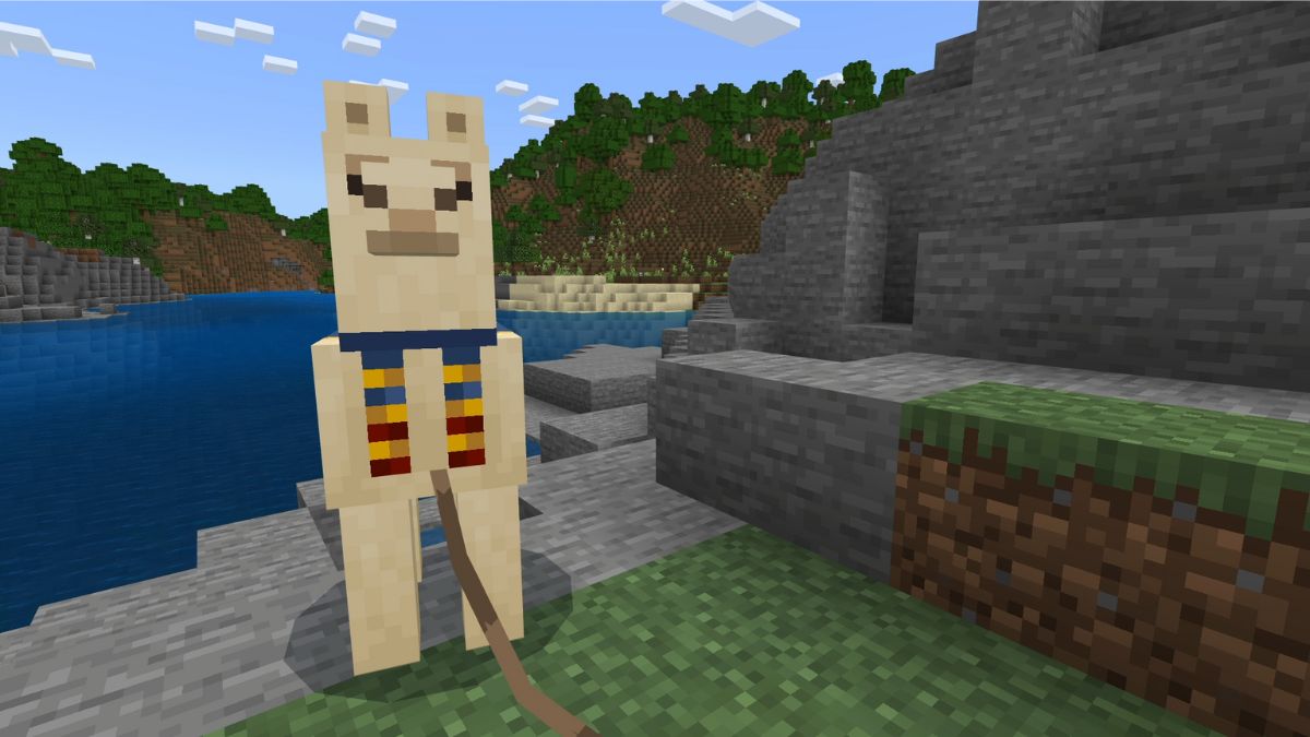 An Alpaca on a lead after the player learned how to make a lead in Minecraft.