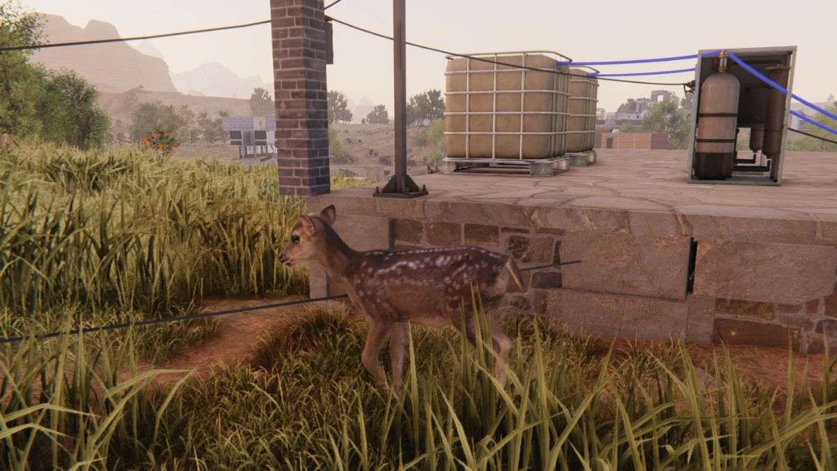 A deer at a players home after learning how to capture animals in Once Human.