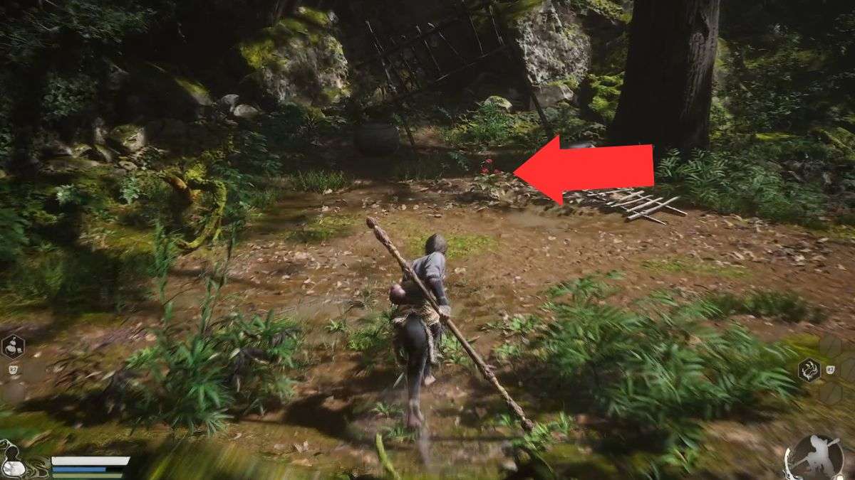 A normal ginseng plant in Black Myth: Wukong that turns into a monster when the player tries to harvest it. 
